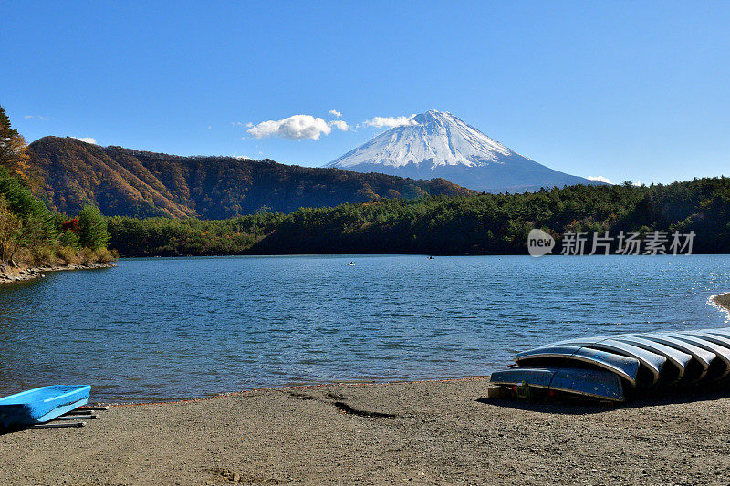 富士山和秋天的树叶在富士五湖地区，日本:湖Saiko/湖Sai